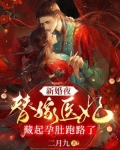 新婚夜，替嫁医妃藏起孕肚跑路了