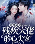 隐婚甜妻，残疾大佬的心尖宠