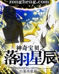 神奇宝贝之落羽星辰