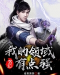 玄幻:我的领域有点强