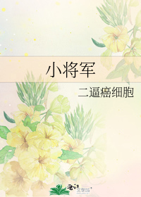 小将军