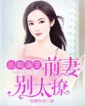 总裁强宠：前妻，别太撩