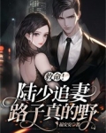 救命！陆少追妻路子真的野