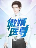小说傲婿