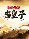回到古代当皇子的小说