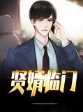 贤婿2